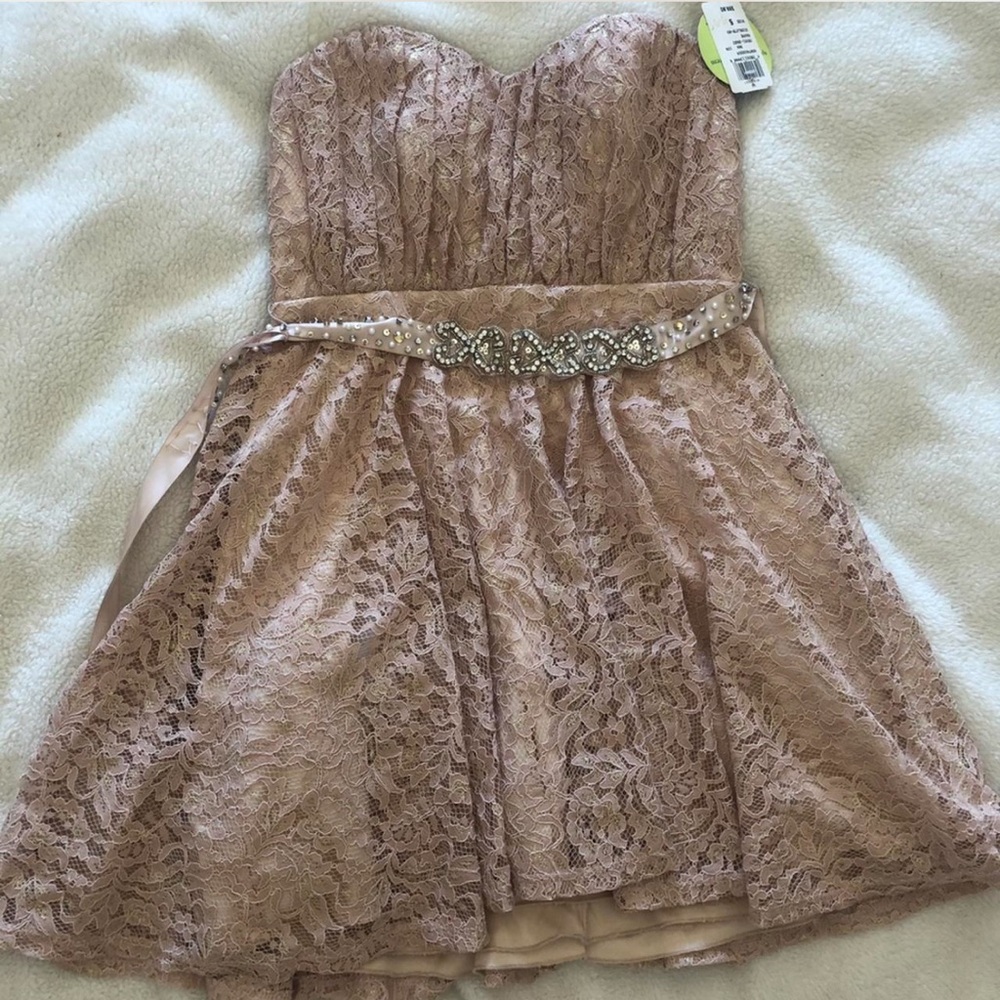 Windsor Pink Lace Mini Dress